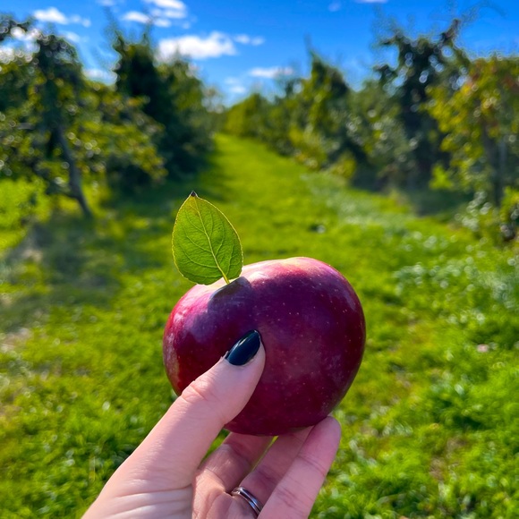 Meet your Posher, Jaclyn - Picture 1 of 1